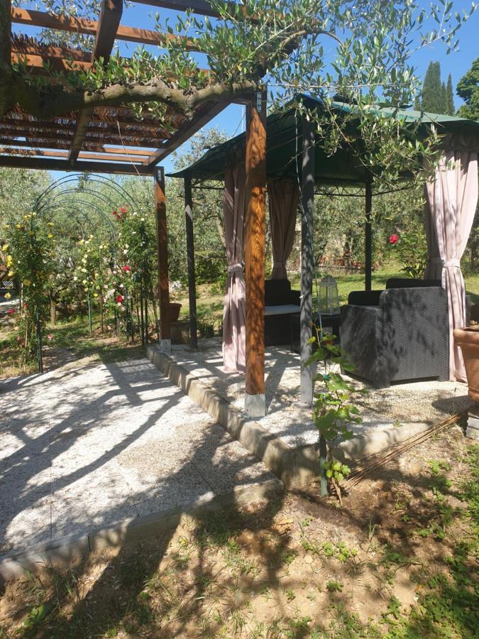 Casa Vacanze L'Oliveta Siena Buitenkant foto