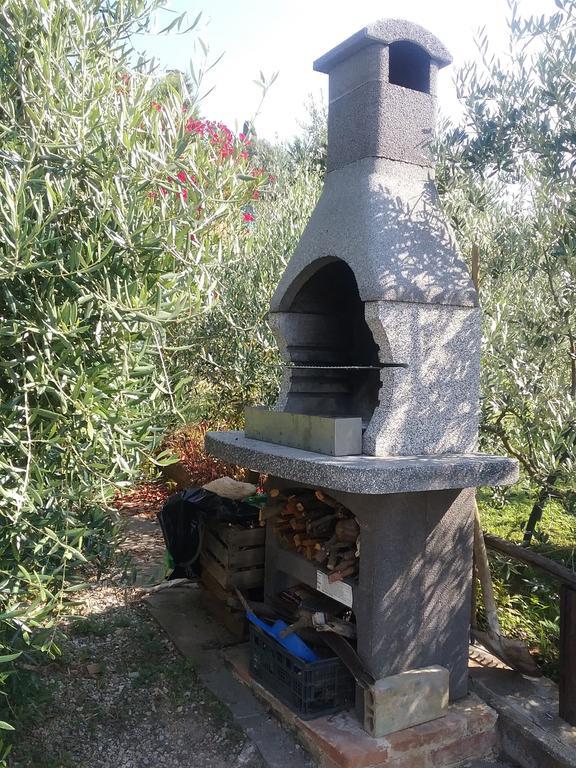 Casa Vacanze L'Oliveta Siena Buitenkant foto