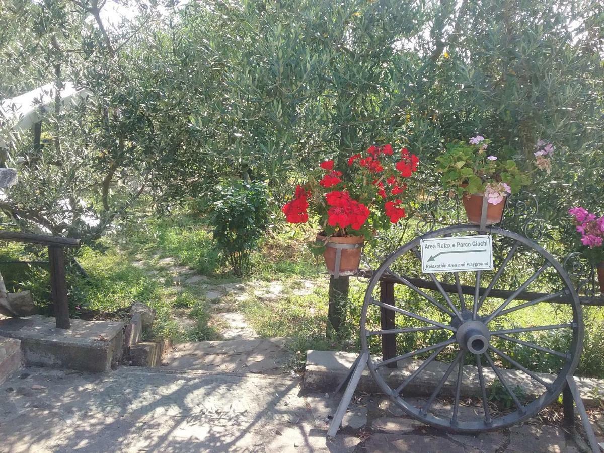 Casa Vacanze L'Oliveta Siena Buitenkant foto