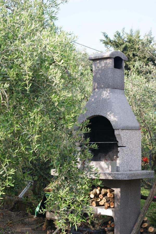 Casa Vacanze L'Oliveta Siena Buitenkant foto
