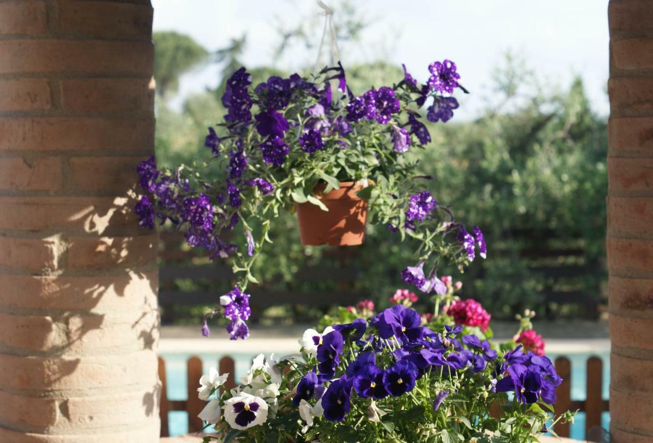 Casa Vacanze L'Oliveta Siena Buitenkant foto