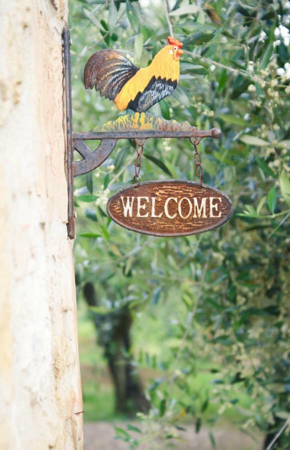 Casa Vacanze L'Oliveta Siena Buitenkant foto
